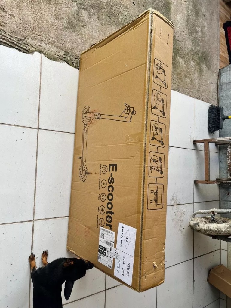 Foto do comprador 8